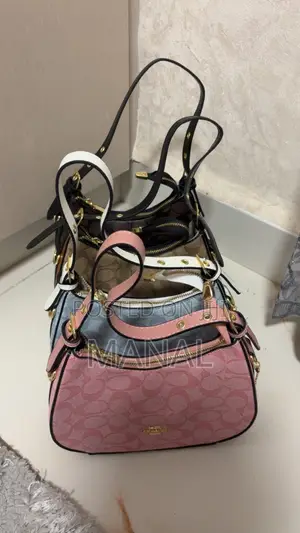Coach Moon Bags