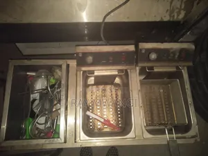 Double Deep Fryer