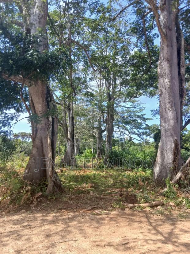 Plots for Sale Vipingo Kilifi County , KURUWITU