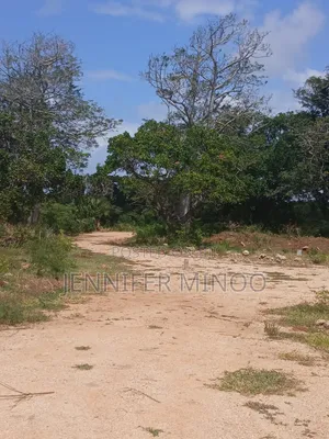 Plots for Sale Vipingo Kilifi County , KURUWITU