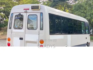 Mitsubishi Fuso Rosa 2019
