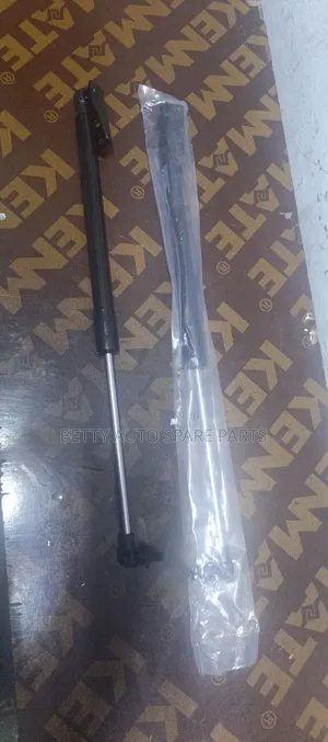 Toyota Filder Boot Shocks