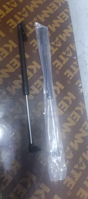 Toyota Filder Boot Shocks