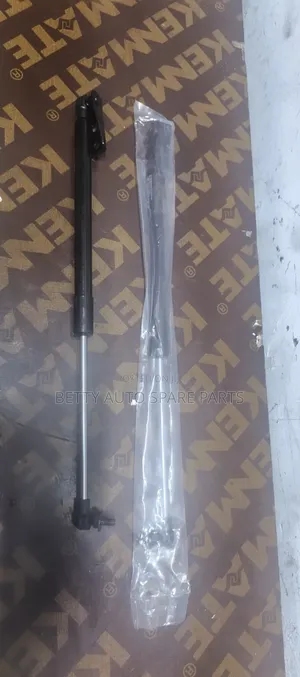 Toyota Filder Boot Shocks