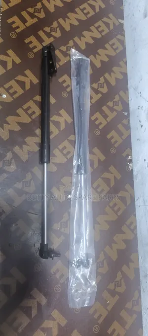 Toyota Filder Boot Shocks