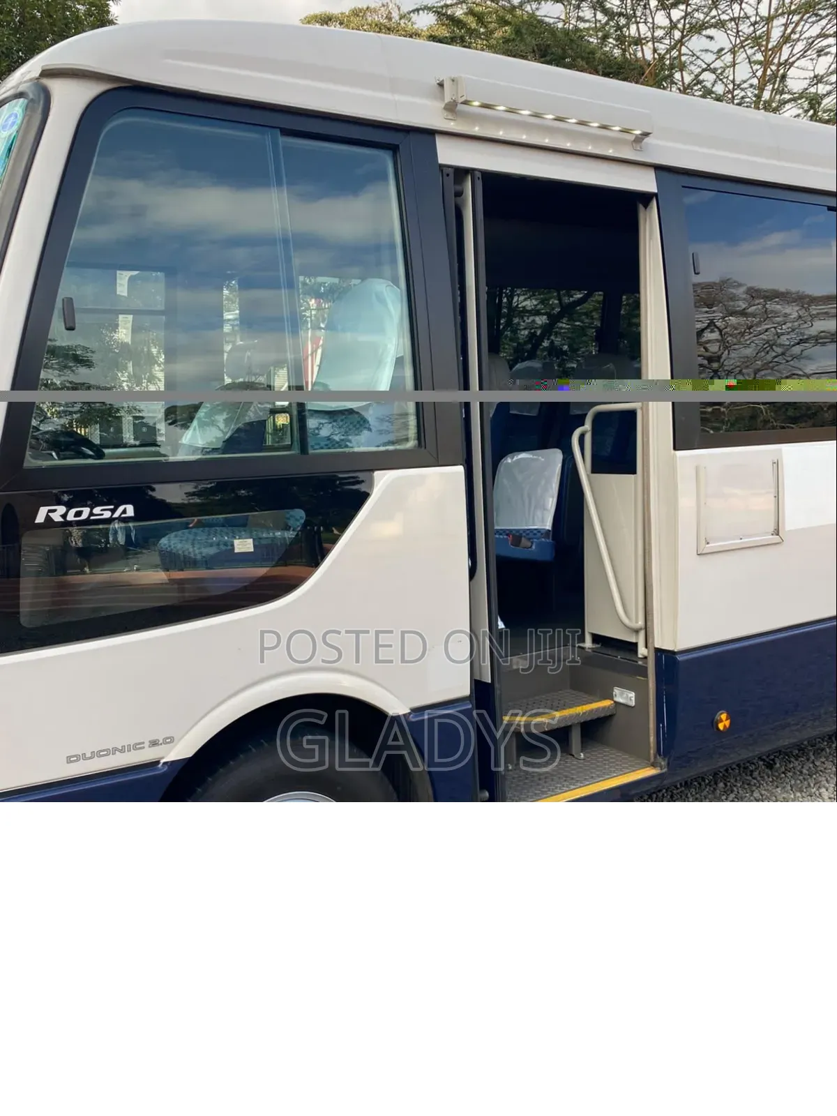 Mitsubishi Fuso Rosa 2019