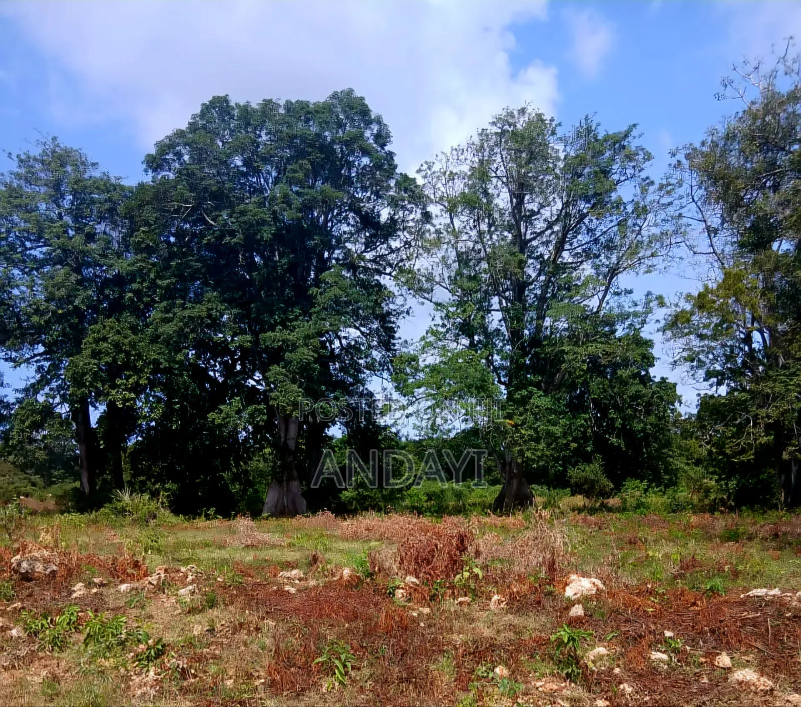 Prime Plots for Sale, Vipingo