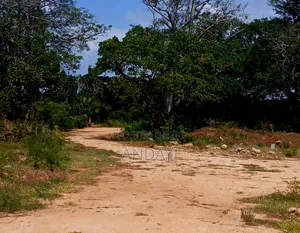 Prime Plots for Sale, Vipingo