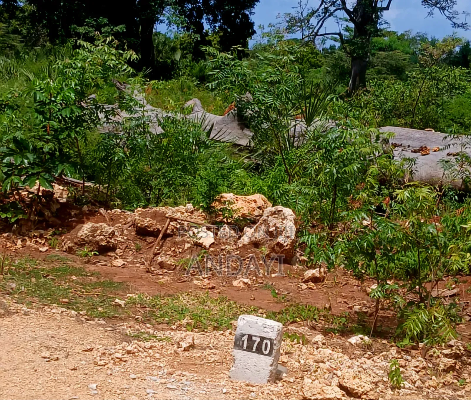 Prime Plots for Sale, Vipingo