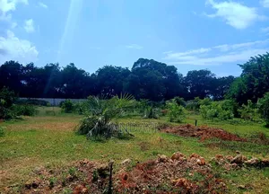 Prime Plots for Sale, Vipingo