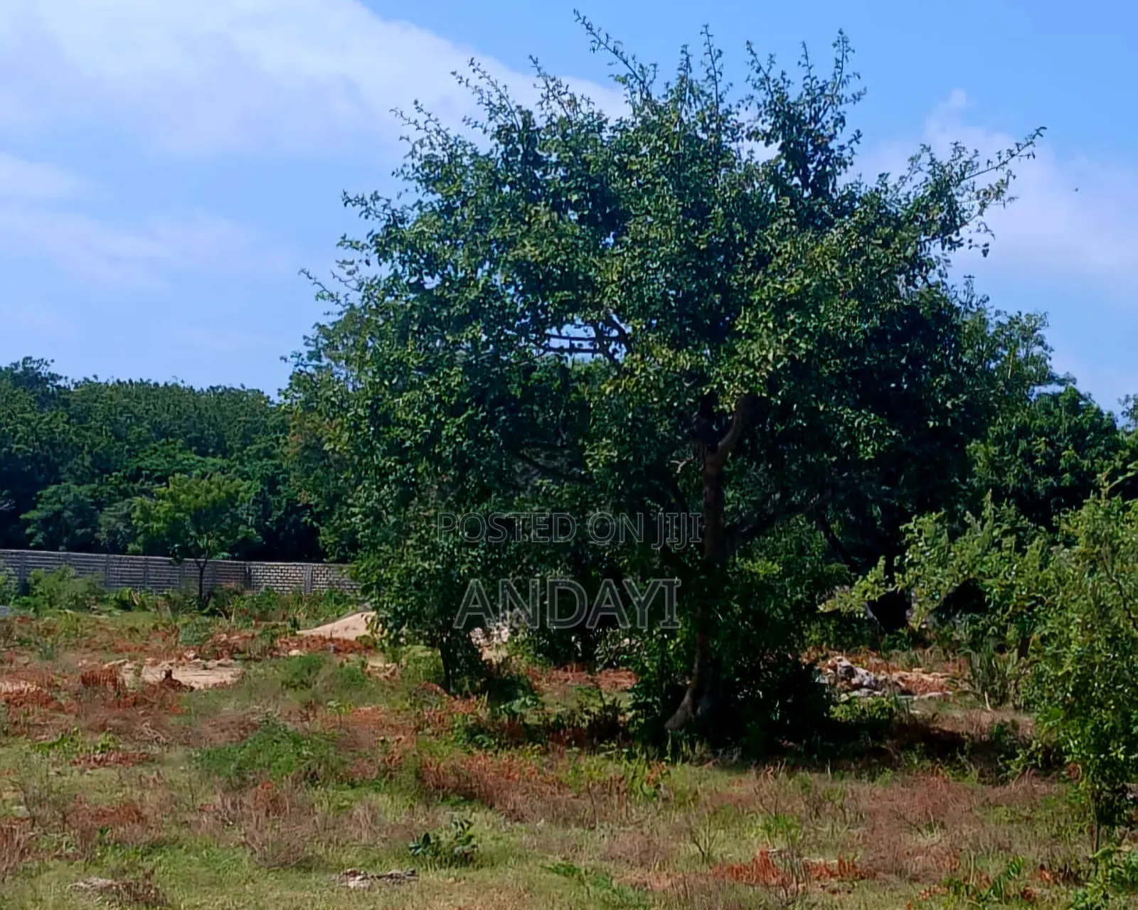 Prime Plots for Sale, Vipingo