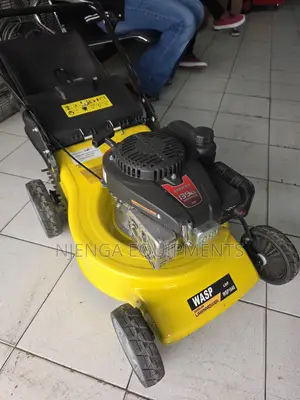 WASP 18-Inch Petrol Lawnmower