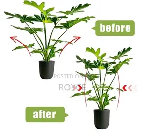 Plant Stem Gatherers -10pcs
