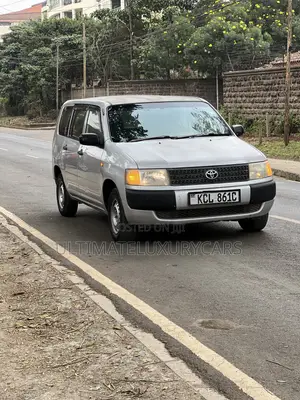 Toyota Probox 1.5 DX 2WD 2010 Silver
