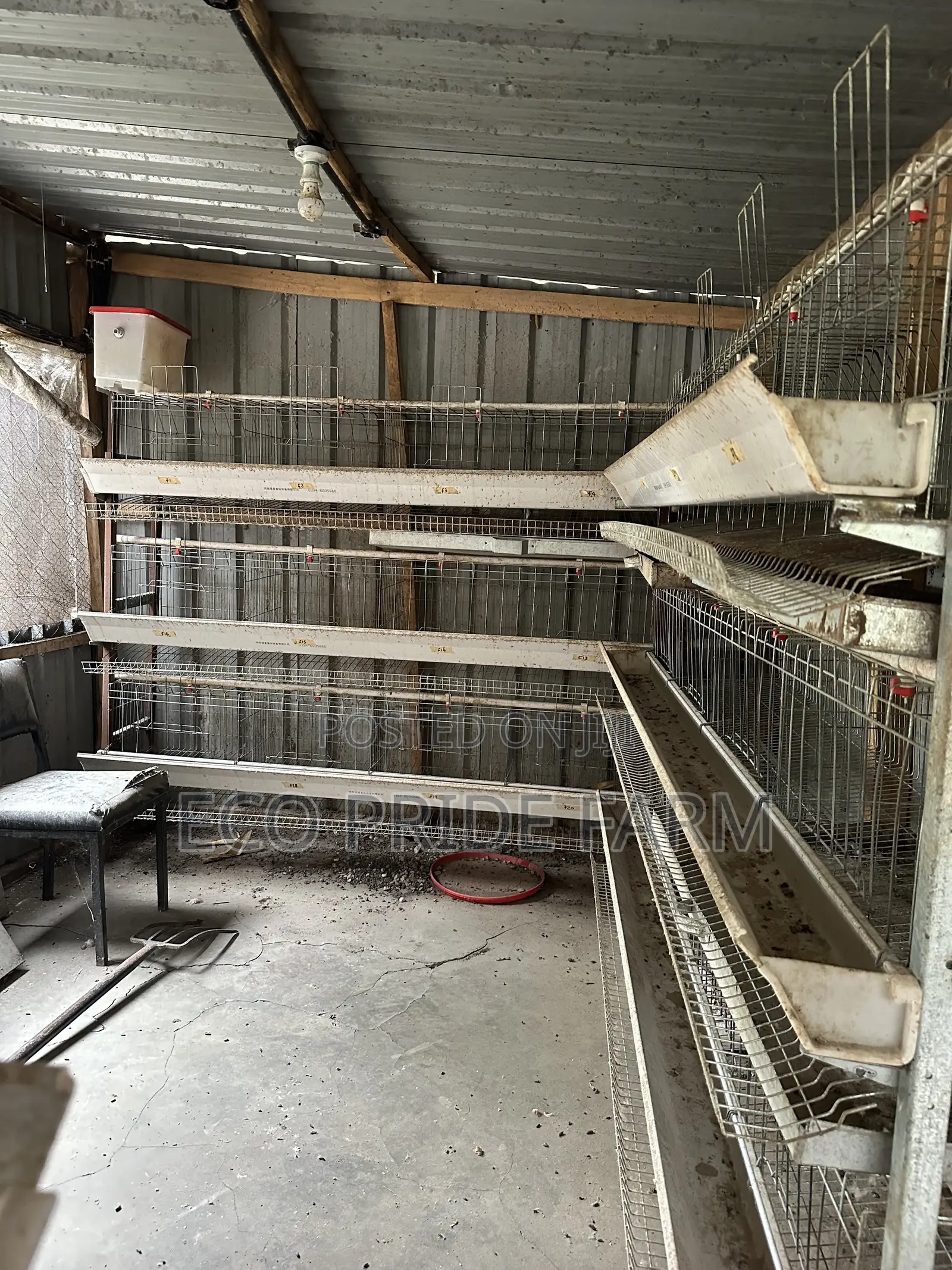 Chicken Cages (Used)