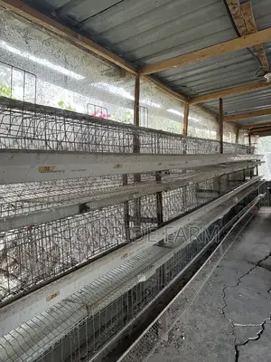 Chicken Cages (Used)