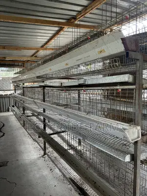 Chicken Cages (Used)