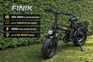 Fat Tyre E-Bike 48v 20ah Lithium Battery