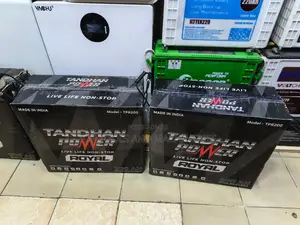 Tandhan Power Royal 12v 200ah Tall Tubular Solar Battery