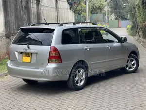 Toyota Corolla Fielder 2005 Silver
