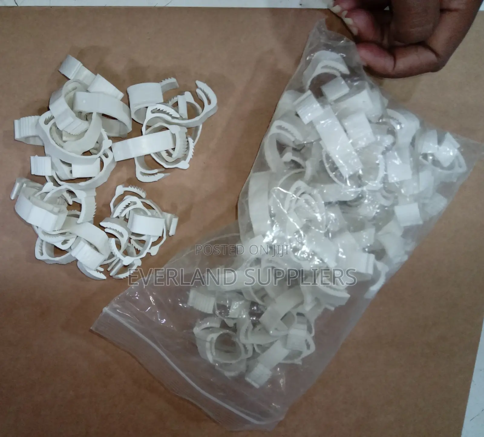 Large Identification Leg Bands for Poultry