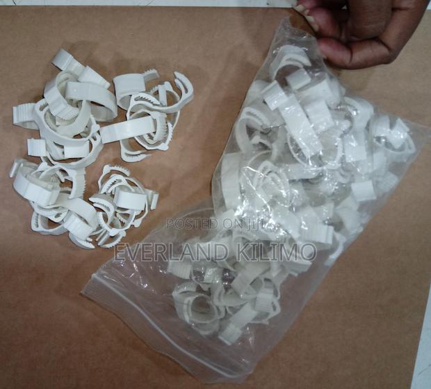 Large Identification Leg Bands for Poultry
