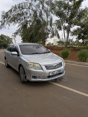 Toyota Axio 2011 Silver