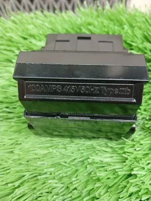100Amps Double Cutout