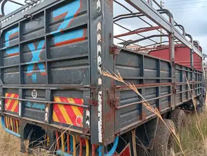 Isuzu CXZ for Sale