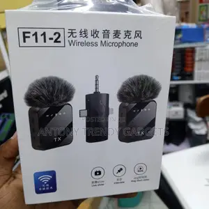 F11-2 Professional Wireless Mic With Noise Reduction
