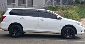 Toyota Corolla Fielder 2009 White