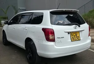 Toyota Corolla Fielder 2009 White