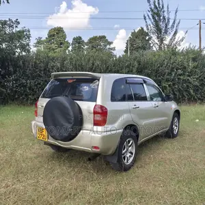 Toyota RAV4 2005 Gold