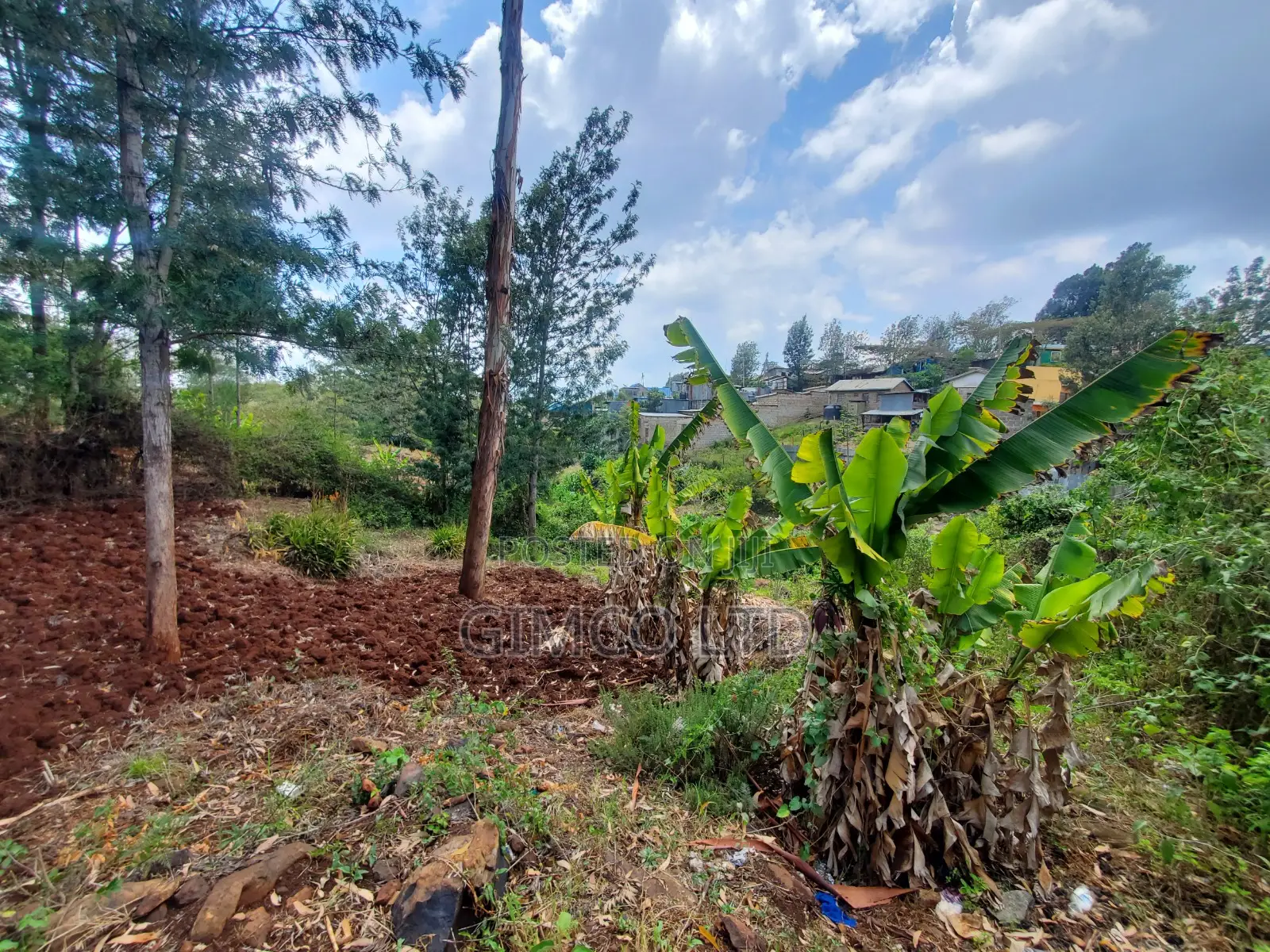 Plot for Sale in Kerarapon Ngong Karen