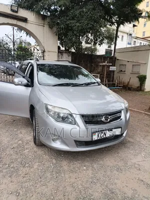 Toyota Corolla Fielder 2009 Silver