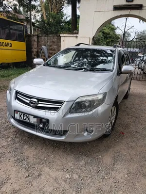 Toyota Corolla Fielder 2009 Silver