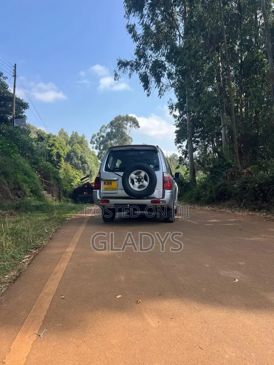 Mitsubishi Pajero 2005 Silver