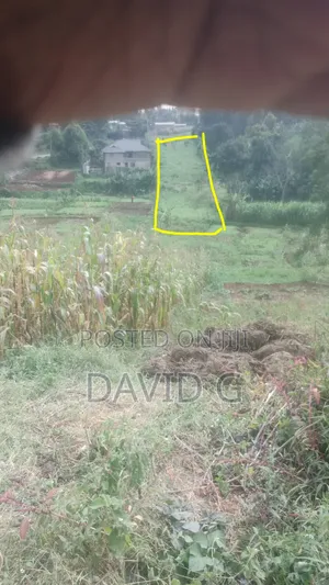Half Acre in Kabete