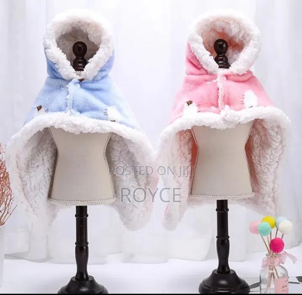 Pet Ponchos - main view