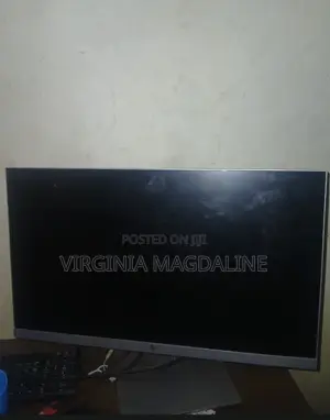 HP E243 Monitor