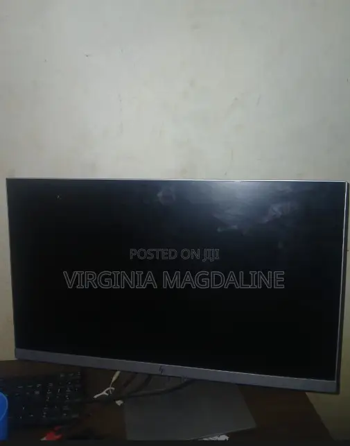 HP E243 Monitor