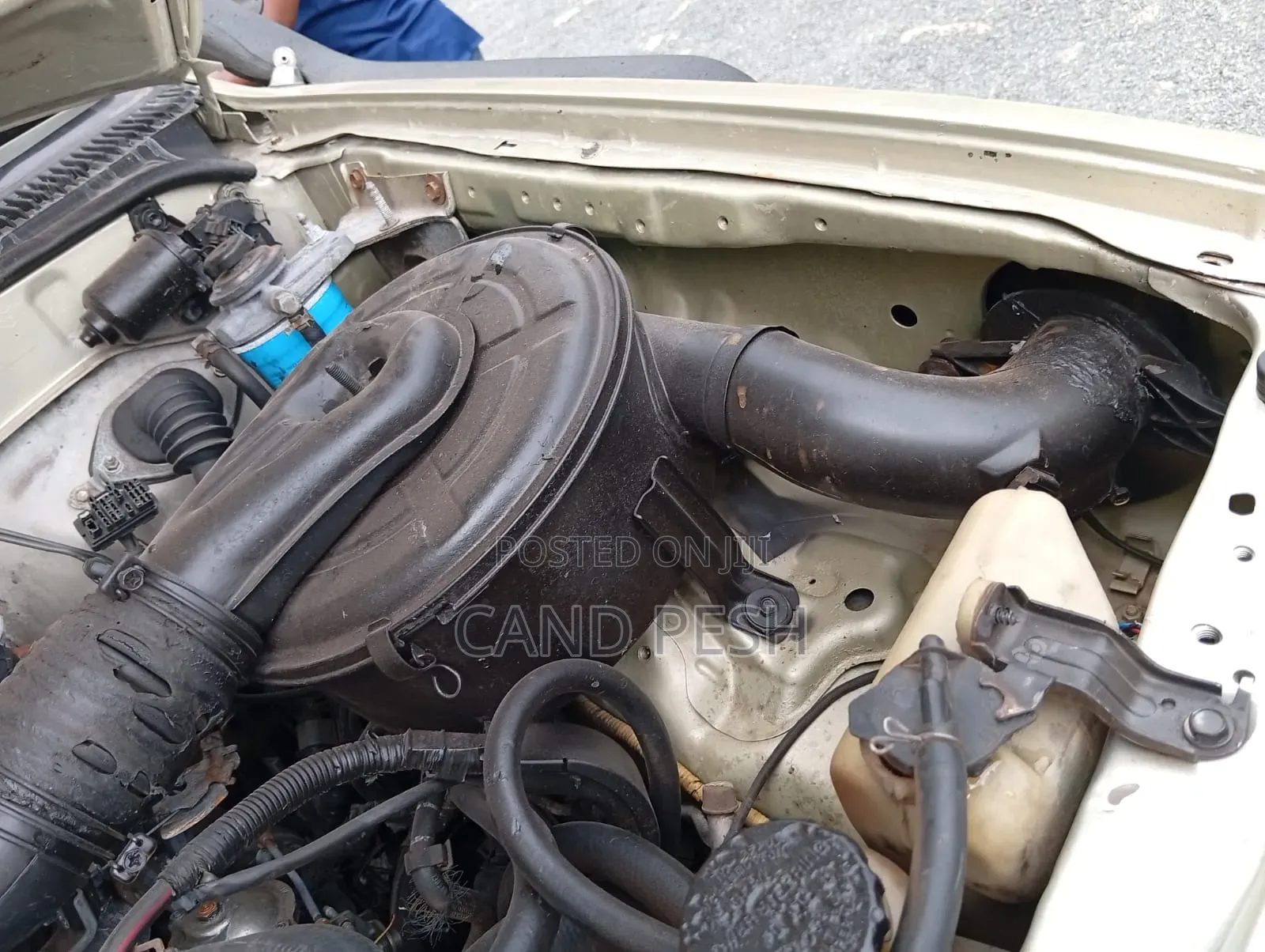 Toyota Hilux 2001 Gold