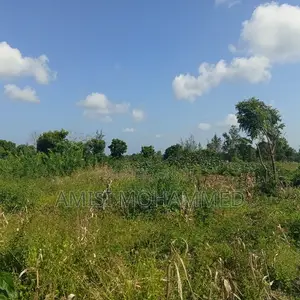 Freehold Plots