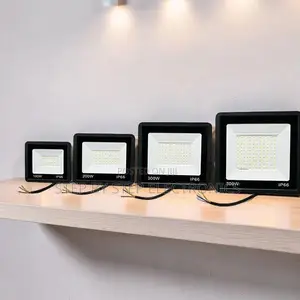 Super Bright 200W,100W,50W,30W AC Electric LED Flood Light