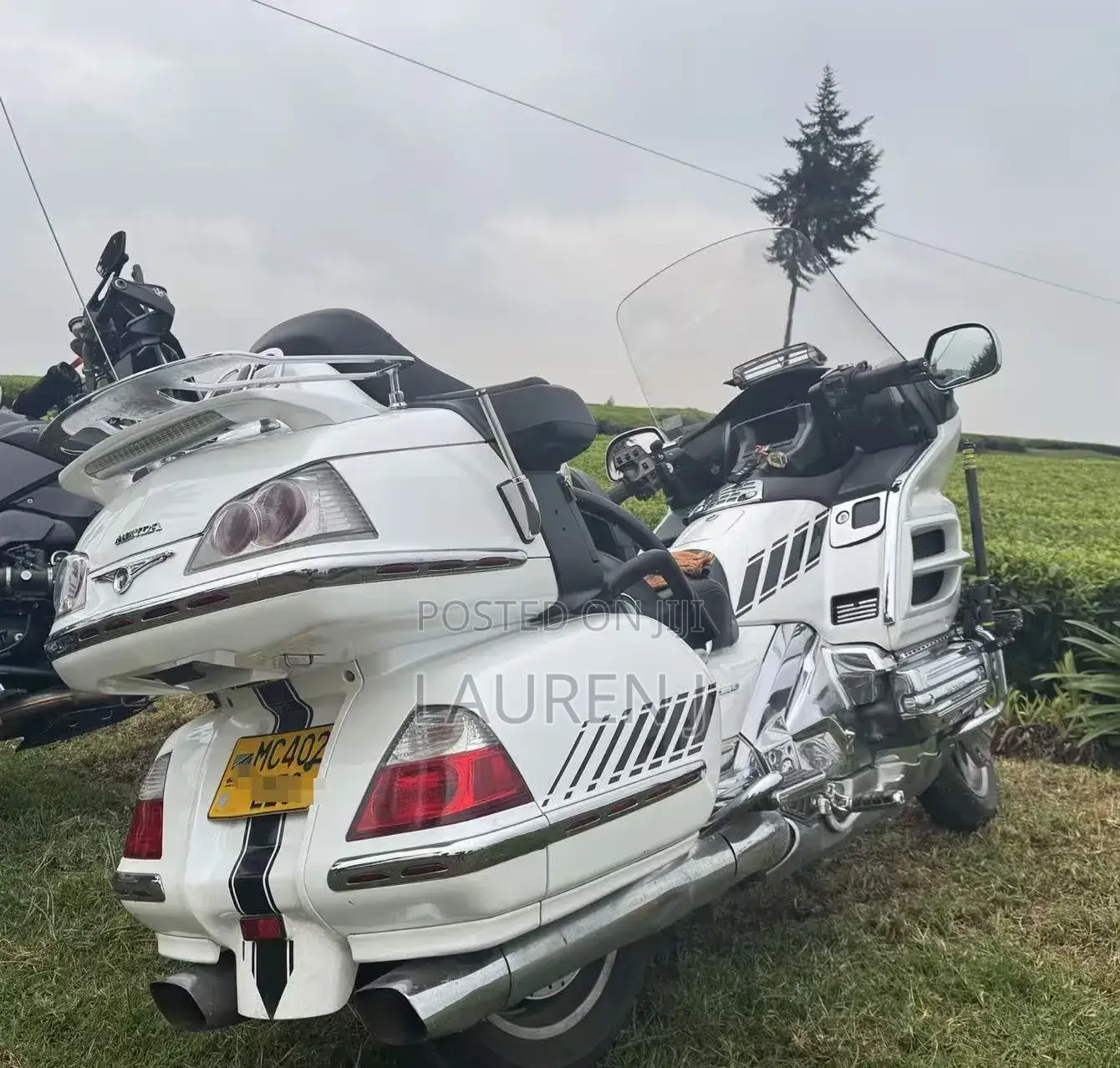 Honda Gold Wing 2008 White