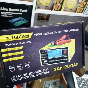 BLM-866 Intelligent Pulse Charger for Car Motorcycle Battery