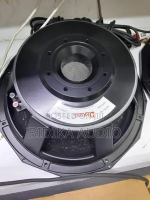 Derwel 18PD1880 18-Inch Professional Subwoofer Driver