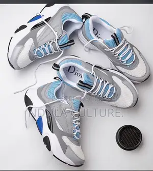 Multi Colour Dior B22 Sneakers