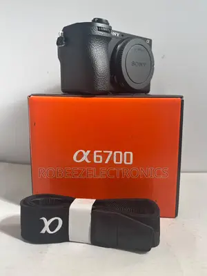 Sony A6700 Mirrorless Camera