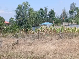 Quarter Plot for Sale Nanyuki